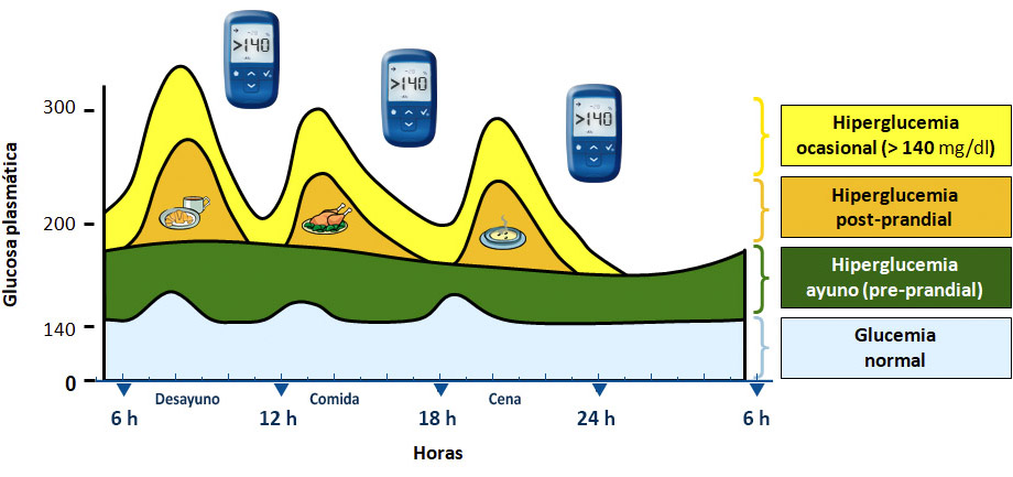 imagen secrección glucosa