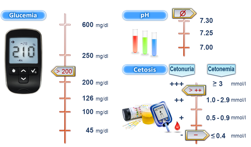 Imagen criterios diagnósticos